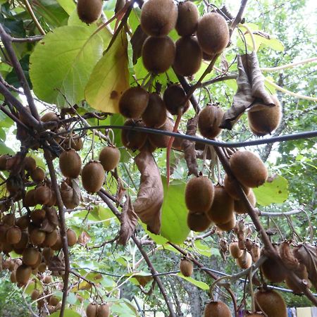 Le Bourmier Anlhiac Near Excideuil Villa Buitenkant foto