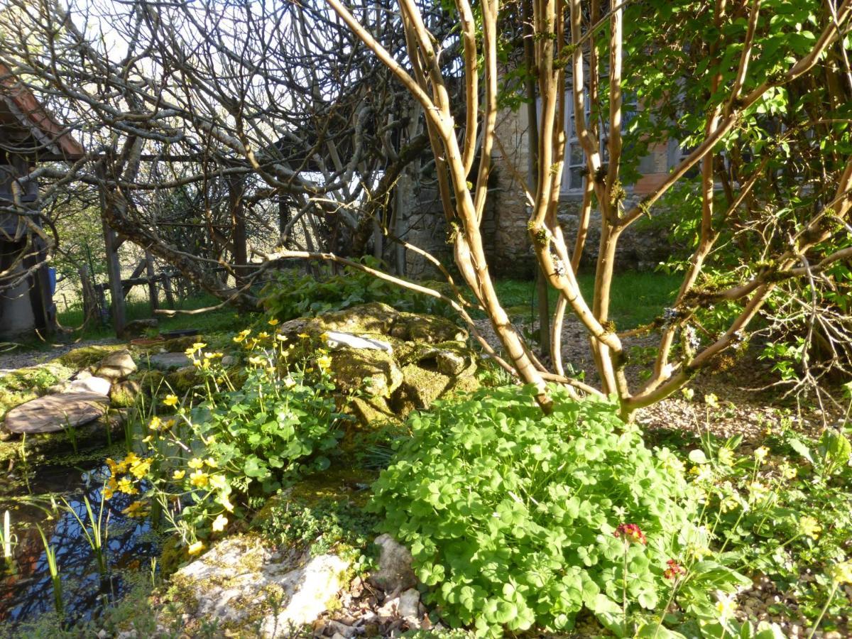 Le Bourmier Anlhiac Near Excideuil Villa Buitenkant foto